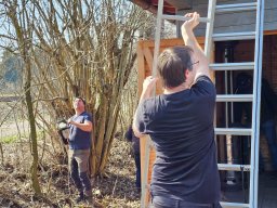 whatsapp image 2026-03-19 at 18.09.43 1